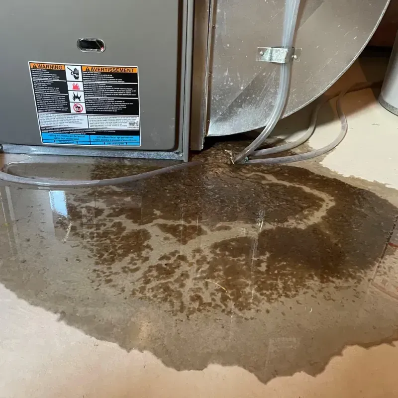 Appliance Leak Cleanup in Denmark, ME